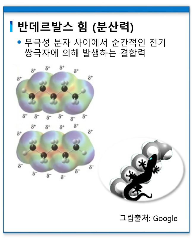 반데르발스 힘(분산력)